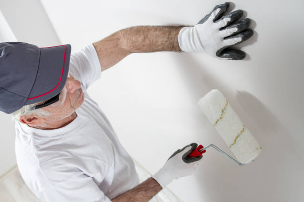 Best Mold Damage Restoration  in Dano, CO