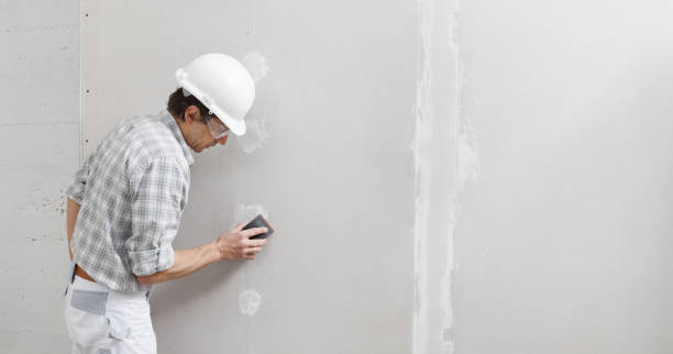 Environmental Consulting for Mold Prevention in Dacono, CO