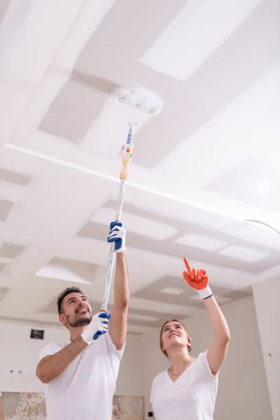 Best Dehumidification Services  in Dano, CO