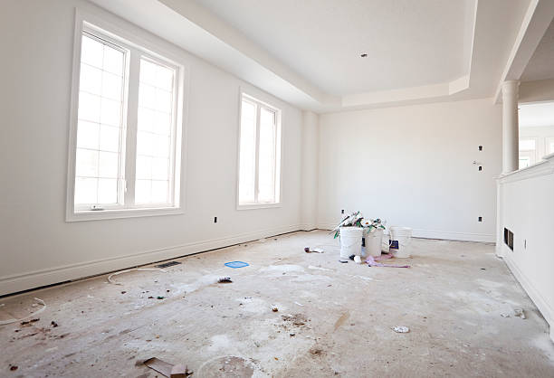 Best Emergency Mold Remediation  in Dano, CO