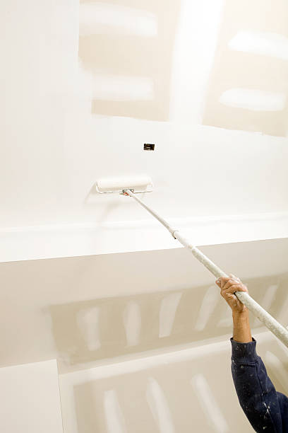 Best HVAC Mold Inspection and Cleaning  in Dano, CO