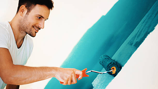Best Basement Mold Removal  in Dano, CO